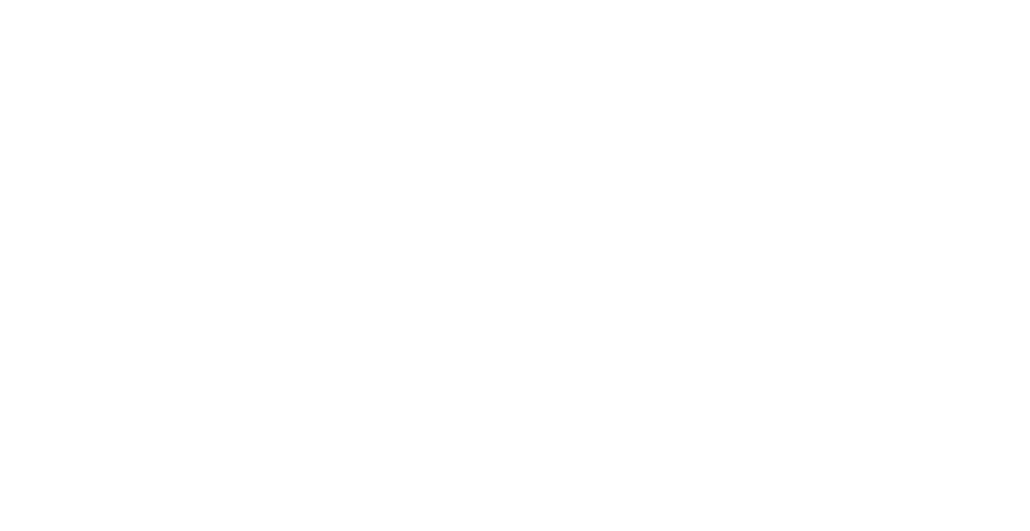 Logo INGEN INNOVATIONS GEOSCIENCES blanc