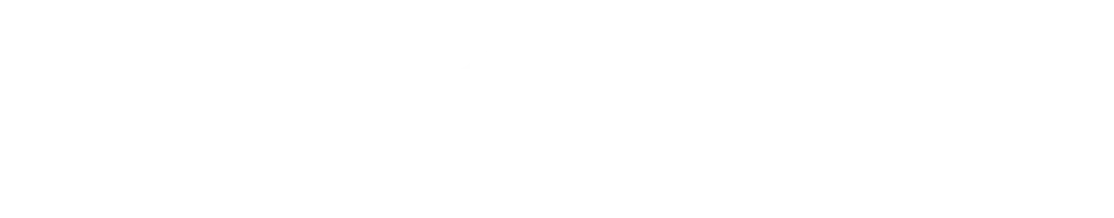 logo Emlid blanc 2025